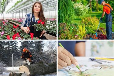 Collage showing year-round landscaping jobs