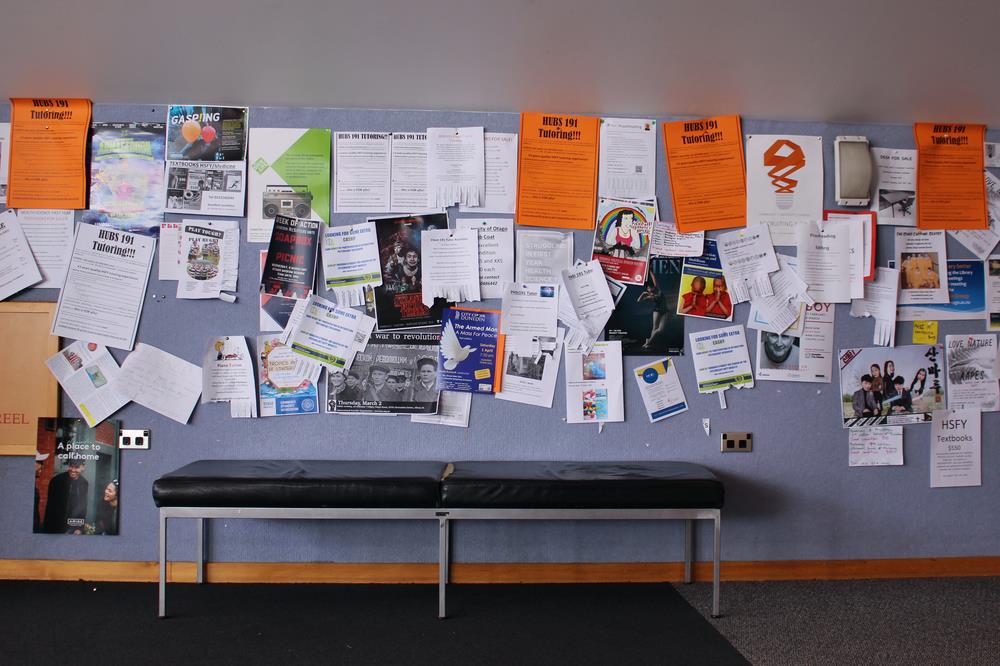 Bulletin board filled with fliers in public building