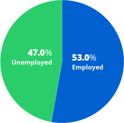 pie chart showing whether respondents were employed or unemployed