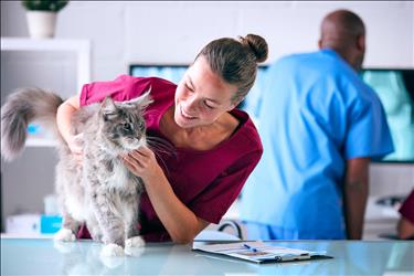 smiling veterinary team member holding a gray cat