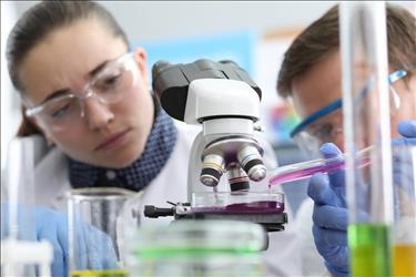 two analytical chemists examining samples under a microscope