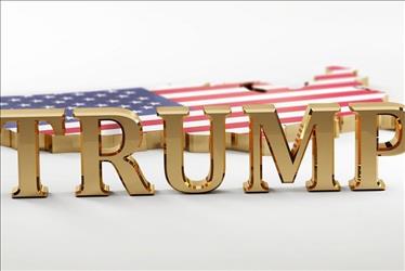 Trump's name in gold in front of United States model