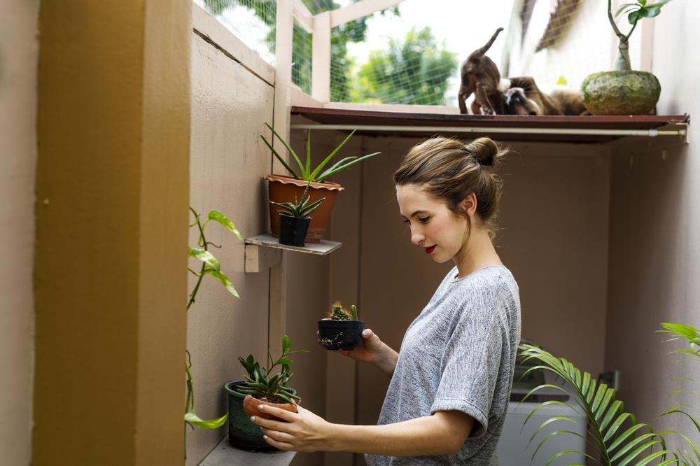 job seeker taking a break to tend to her indoor garden