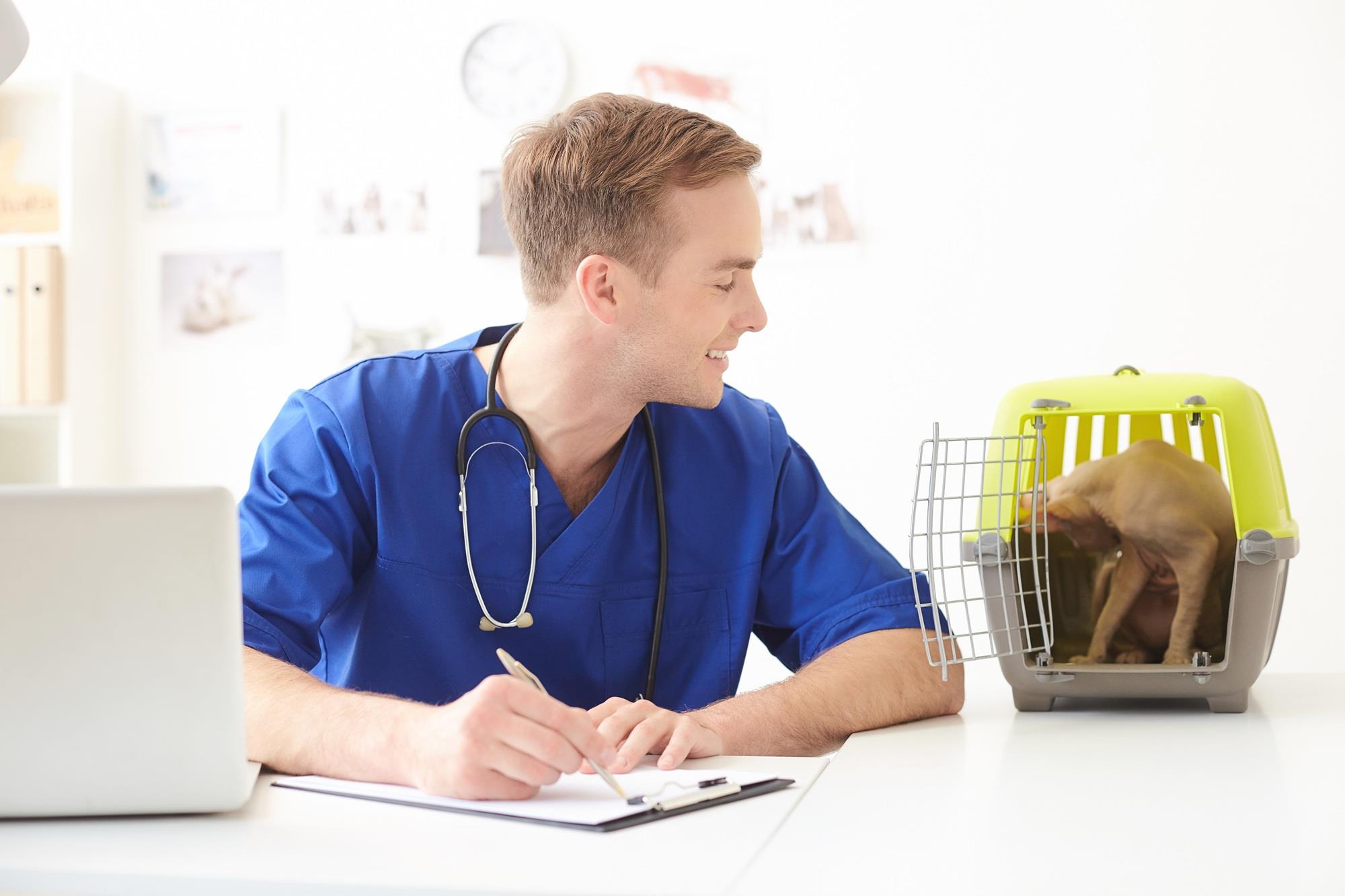 gen z veterinarian with a dog in its travel crate
