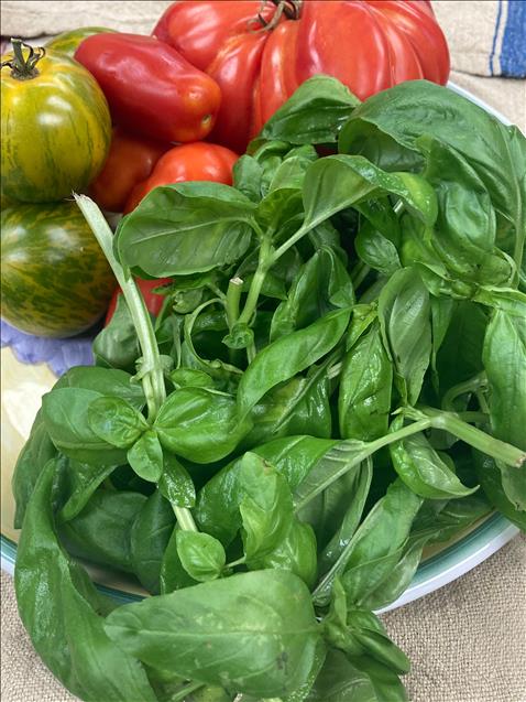 cropped-1760035460920-850