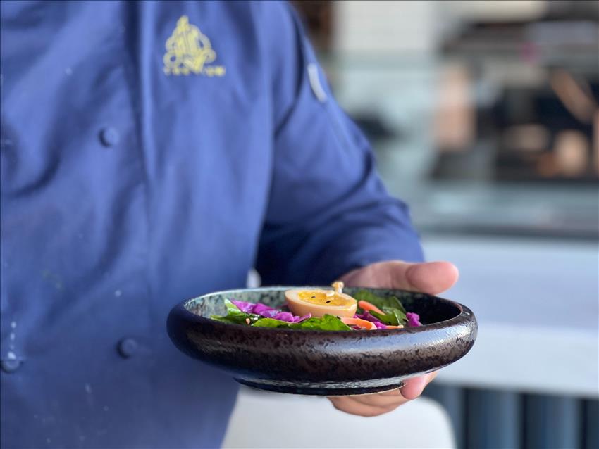 cropped-1761585090574-850