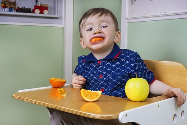 Young child eating oranges at lunchtime