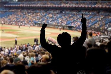 fan celebrating at a baseball game