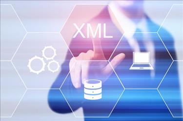 Abstract picture of professional pointing to XML button