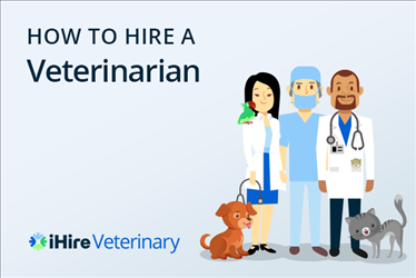 How to Hire a Veterinarian