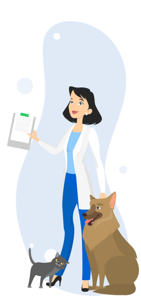 Veterinarian job duties