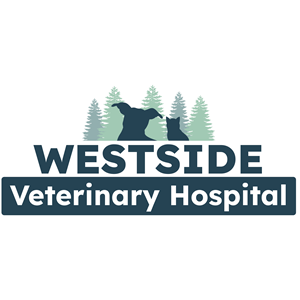 Veterinary Assistant