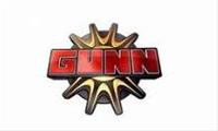 Gunn Automotive Group