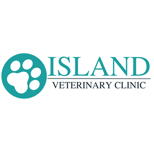 Associate Veterinarian