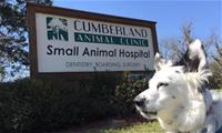 Cumberland Animal Clinic