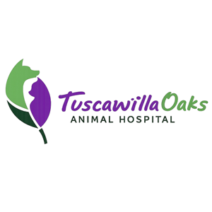 Associate Veterinarian