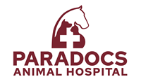 Paradocs Animal Hospital