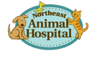 Northeast Animal Hospital