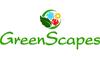 Greenscapes Landscape