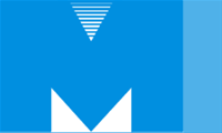 The Metro Group Inc