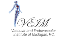 Vascular and Endovascular Institute of MI P.C.