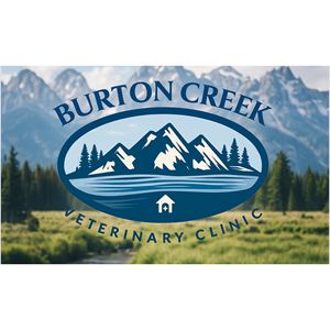 Registered Veterinary Technician