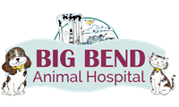 Big Bend Animal Hospital Inc    