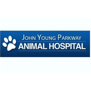 Experienced Veterinary Receptionist