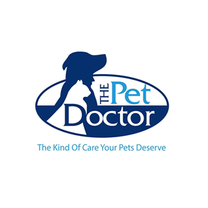 Associate Veterinarian