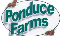 Ponduce Farms