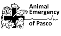 Animal Emergency of Pasco