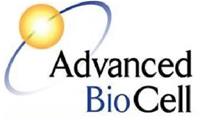 Advanced BioCell