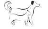 Valley Veterinary Hospital