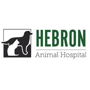 Licensed Veterinary Technician