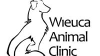 Wieuca Animal Clinic    