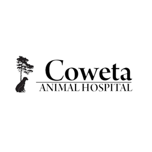 Veterinary Practice Manager