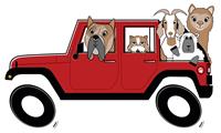 Wappingers Animal Hospital