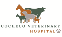 Cocheco Veterinary Hospital