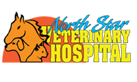 North Star Veterinary Hospital 
