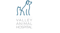 Valley Animal Hospital