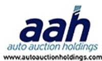 Auto Auction Holdings