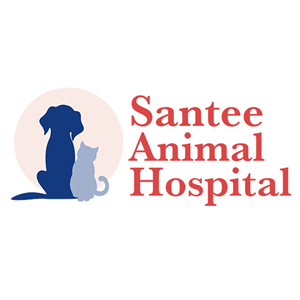 Associate Veterinarian