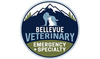 Bellevue Veterinary Emergency & Specialty