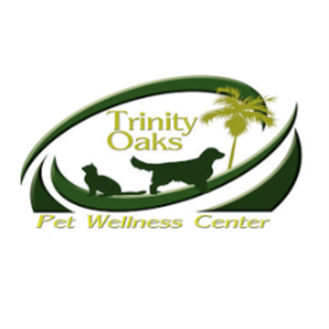 Certified Veterinary Technician