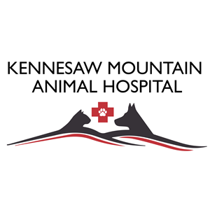 Veterinary Assistant