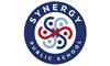 Synergy Public School