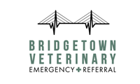 Bridgetown Veterinary Emergency + Referral