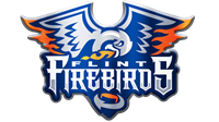 Flint Firebirds Hockey Club