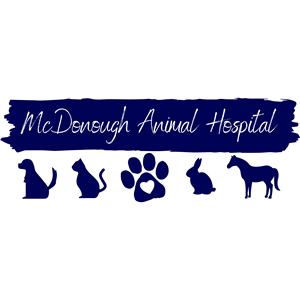 Veterinary Receptionist
