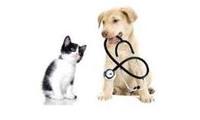 Family Pet Hospital